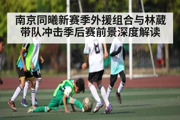 南京同曦新赛季外援组合与林葳带队冲击季后赛前景深度解读